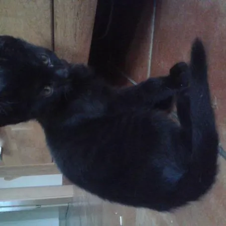 Haus Santorum 아파트 상트미카엘임룽가우