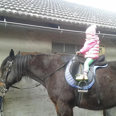 Haus Santorum 아파트 *