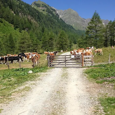 아파트 Haus Santorum *